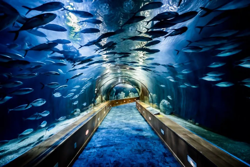 Aquarium de Valencia